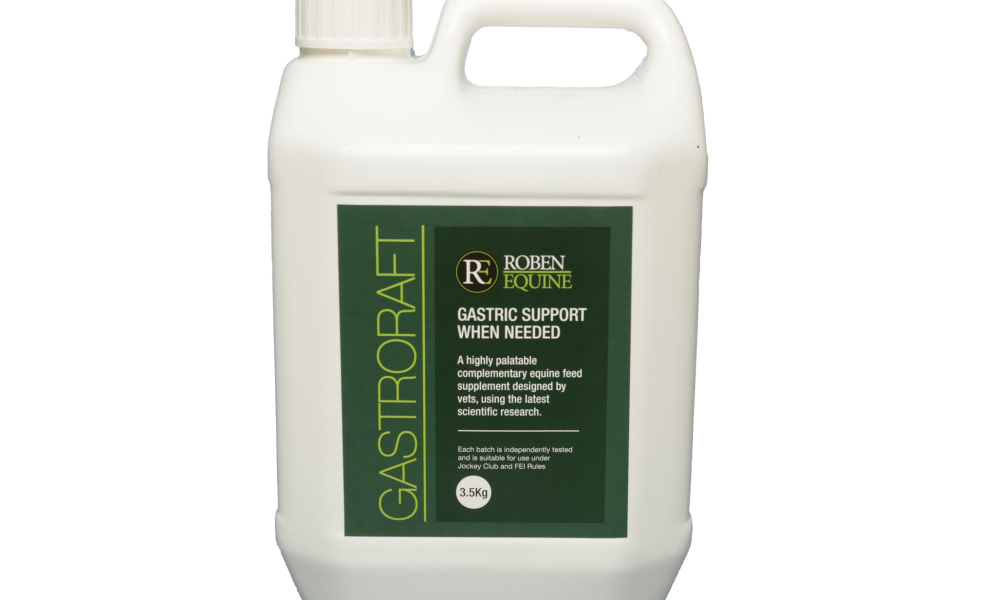 gastroraft